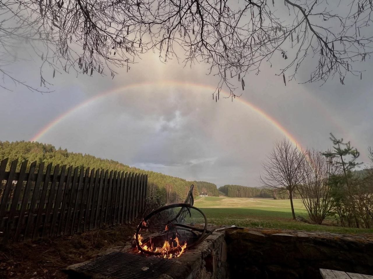 article-7194bb3a-1979-4db1-bcdb-6d2779bfa349-hero-1775721340355